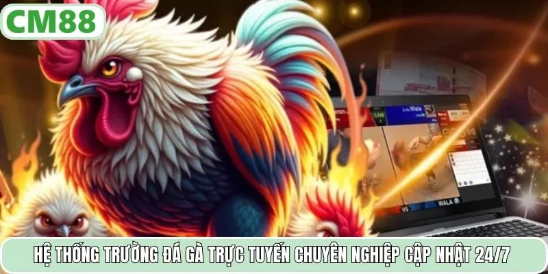 Hệ thống trường đá gà trực tuyến chuyên nghiệp cập nhật 24/7